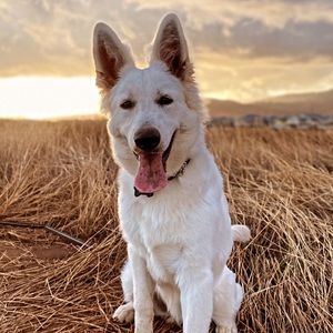 Meet your Posher, Becky